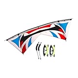 TISHITA Triangle Kite Vierleiner Lenkdrachen mit Carbonstab Und Regenschirmstoff Inklusive Handgriffset für Erwachsene Anfänger Outdoor Aktivitäten Strand Geb, Blau