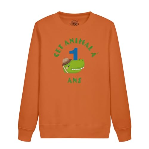 Sweatshirt enfant 1 an anniversaire celèbration safari pull