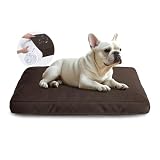 Miguel Canvas Outdoor Pillow
