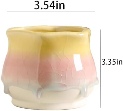 Ceramic Succulent Pots,Succulents Cactus Indoor Garden Decorations,Home and Office Decor, Plant Lover Gifts for Women (Type A) image 4