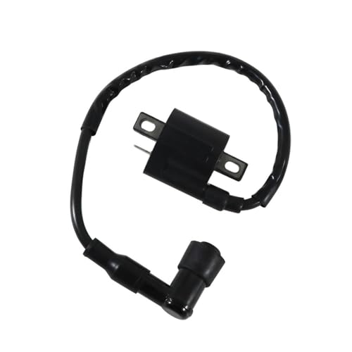 Bobine d'allumage pour YN100 YQ50 DT50LC TTR90 : bloc de tension haute performance
