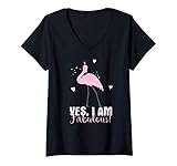 BullQuack Flamingo