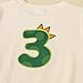 Toddler Boy 3rd Birthday Outfit Dinosaur Shirt Pants Three Years Old Shirts Outfits Boys 3 yr Birthdays Gift
