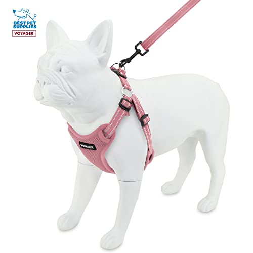 Best Pet Supplies Voyager Adjustable Dog Harness Leash Set With Reflective Stripes For Walking Heavy-Duty Full Body No Pull Vest With Leash D-Ring, Breathable All-Weather - Harness (Pink), S #TOP6