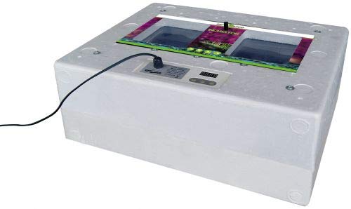 ReptiZoo Digital Inkubator Standard Größe 50x40 cm Brutapparat IN001