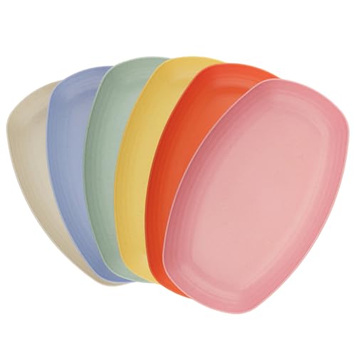 WakiHong Lot de 6 Assiettes en Plastique Réutilisables Assiettes Ovales 6 Couleurs Incassable Assiette de Camping,pour Salade,Pâtes,Fête,Maison,Micro-Ondes et Lave-Vaisselle