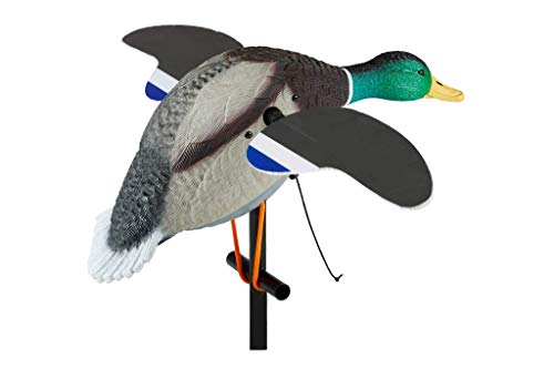 Lucky Pull String #TOP1