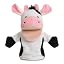 New Dairy Cow