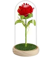Preserved Rose Gifts for Women, Crochet Rose Decor in Acrylic Dome with LED Light Strip, Eternal ...
