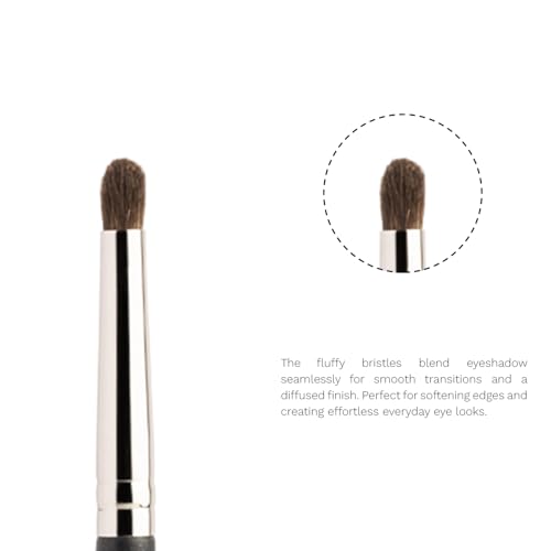 Image of PAC Eyeshadow Blending Brush 082