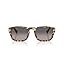 Brown Beige Tortoise/Polarized Gradient Grey