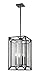 Z-Lite 6005-4BRZ 6005 4 Light Pendant