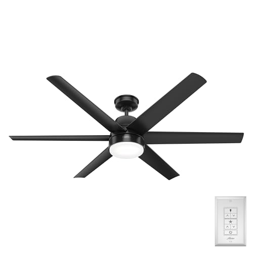 Hunter 60 inch Outdoor or Indoor Ceiling Fan with LED