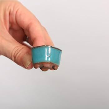 中国の飾り鉢ですか？何に使って居たか分かりませんが美しい鉢です。 300 盆栽 盆栽鉢 植木鉢 中国鉢 人気の贈り物が大集合 現代中国鉢