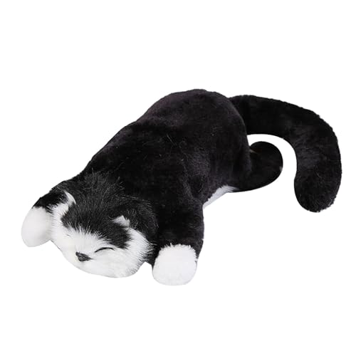 Colcolo Juguete electrónico Interactivo para Gatos con Ruedas, Juguete Interactivo para educación temprana, Regalo de cumpleaños, Negro Colcolo Juguete electrónico Interactivo para Gatos con Ruedas, Juguete Interactivo para educación temprana, Regalo de cumpleaños, Negro