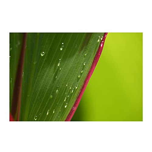 Nikon NIKKOR Z DX 18-140mm VR | Compact all-in-one zoom lens for APS-C size/DX format Z series mirrorless cameras (wide angle to telephoto) | Nikon USA Model