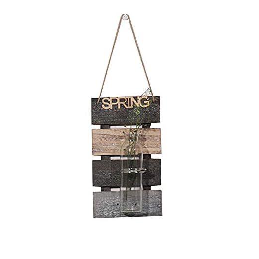 SZETOSY Jarrón Colgante de hidropónicos, jarrón de Pared con Tablero de Madera para Colgar Plantas, Flores, cristalería para el hogar, jardín, Sala de Estar, decoración de café, 30 x 17 cm