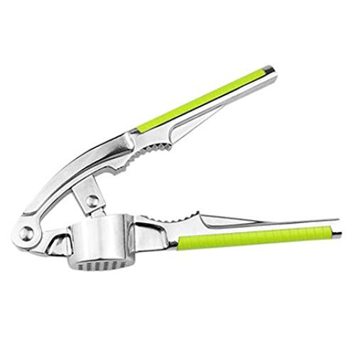 K[bNvX K[bN vX K[bNNbV[ ɂɂi K[bNi ݂؂ uXPA I