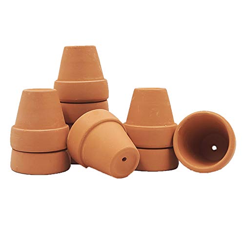 Yishang Mini Terracotta Pots with Drainage Holes - 1.5 inches Tiny Clay Nursery Pots for Indoor/Outdoor Mini Plant, DIY Crafts, Wedding Favors(10 Pack)