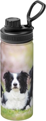 }OJbv RrjJbv ^fM {[_[ R[ t@~[ XeX{g y ۗ 킢E ۉ ^ 530ml e jp ԍڗp ItBX 蕨