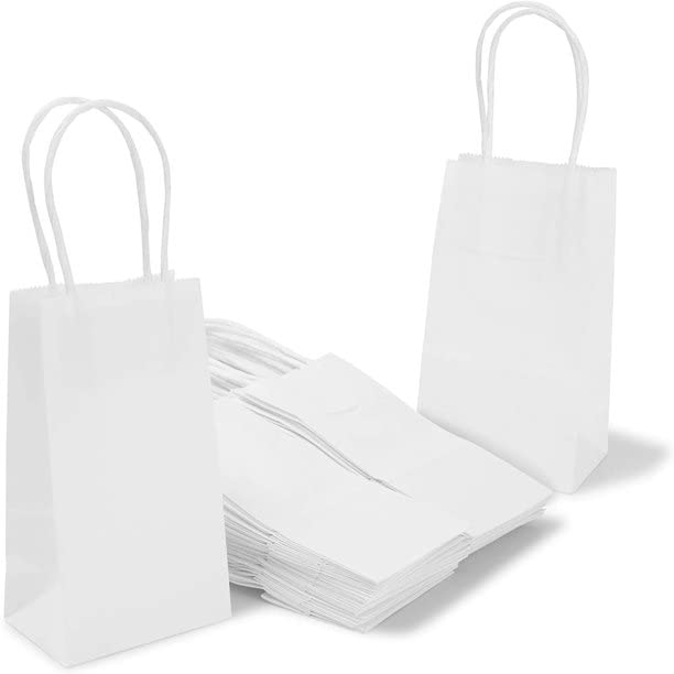RanGit Bhumi White Paper Bags 6"x8"x4" Small Return Gift Bags, Paper