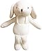 Organic Cotton Baby Pillow Buddy (Lovely Puppy)