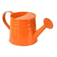 Kids Watering Can Small 1.0L Capacity Plastic Cute Plant Waterer Sand And Beach Toy Modern Boys Girls Garden Watering Bucket Ergonomic Handle Water Can for Houseplants Courtyard- Orange