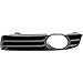 Evan Fischer Fog Light Molding compatible with Chrysler Chrysler 300 05-10 Left Side Lower w/Fog Light Hole