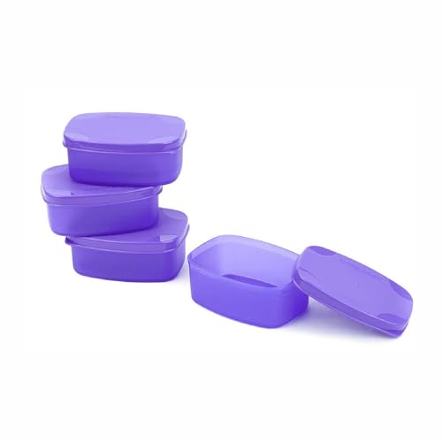 Signoraware Bonito juego de 4 recipientes de plástico, cajas pequeñas para almacenamiento y transporte de alimentos, bocadillos Chutney, pepinillos, especias en polvo, grado alimenticio, sin BPA, apto