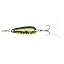 Golden Shiner