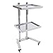 Stainless Steel Trolley Cart,2 Tier Hairdressing Tool Trolley,Heavy Duty Salon Trolley Mobile Folding Tattoo Tray with 4 Wheels,Dental Medical Tray Rolling Cart for Barber Shops,Beauty Salon,Silver