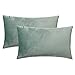 CALIYO Housse de Coussin, Housse de Coussin de Velours uni pour Coussins de canapé, Coussins du canapé Turquoise Menthe 40x60 CM