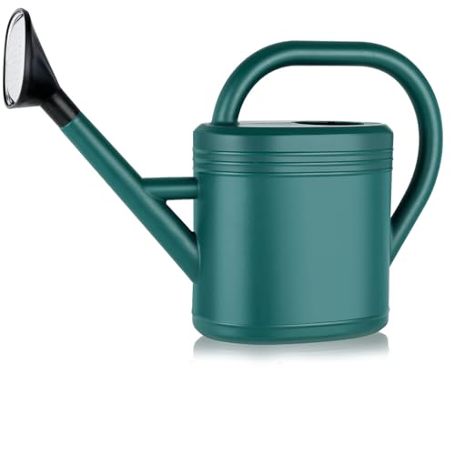 Watering Can for Plants Garden Watering Cans for Indoor Outdoor Plant House Flower with Large Long Spout with Sprinkler Head Grey 3L (Green)