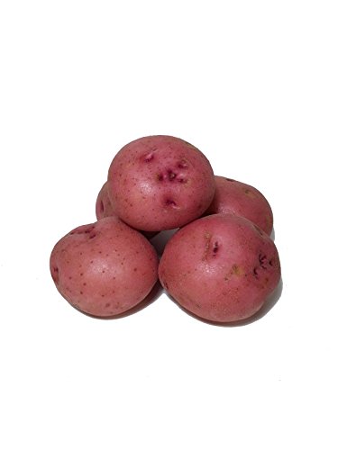 Potatoes Fresh Idaho Russet and Red Produce Bundle
