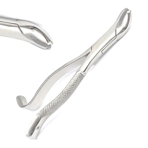 DDP EXTRACTING Forceps Set of 2-150S & 151S Serrated - SURGI Dental Instruments