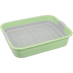 Filtro De Arena Verde 4BIG.Fun - Primer Aseo para Gatos Gatos y Gatos niños – Bandeja de Inodoro con Filtro de Limpieza – sin Arena para Gatos – Disponible en Verde o Gris