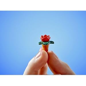 Amazon.co.jp - レゴ® フレンズ お花屋さんカフェ 42671