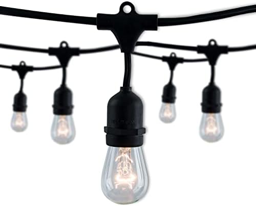 Bulbrite 14 ft, 10-Socket Decorative Kit with Clear Incandescent STRING10/E26/BLACK-S14KT Indoor and Outdoor String Lights, Black