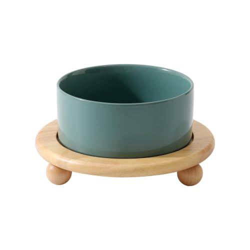 Havniva Raised Cat Bowl 6.1” Elevated Ceramic Cat Food and Water Bowl