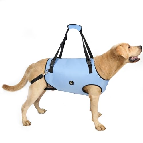 Coodeo Dog Lift Harness, Pet Support & Rehabilitation Sling Lift Adjustable Padded Breathable Straps for Old, Disabled, Joint Injuries, Arthritis, Loss of Stability Dogs Walk (Blue, 2XL)