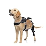 KERBIY Dog Knee Brace for ACL/CCL Injuries,Torn Ligament,Luxating Patella - Rear,Leg Support,Pain Relief,Joint Warmth,Black,L,Left Leg