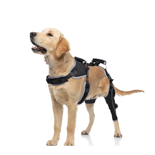 KERBIY Dog Knee Brace for ACL/CCL Injuries,Torn Ligament,Luxating Patella - Rear,Leg Support,Pain Relief,Joint Warmth,Black,L,Left Leg