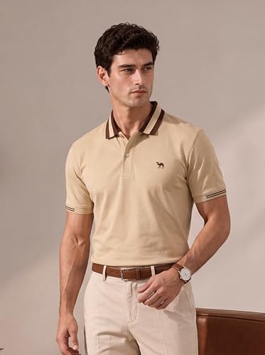 Image of Men's Polo - FYLTR Men's Regular Fit Polo T-Shirt with Contrast Tipping Collar - 100% Cotton | Soft Handfeel | Casual T-Shirts for Men