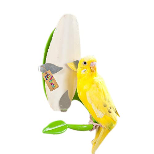 Western EraNatural High Calcium Source Cuttlebone Fish for Birds, Parrot (100grm)