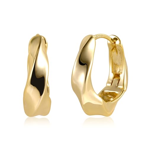 ALEXCRAFT Orecchini Spessi Donna Oro Piccoli Chunky Cerchio Orecchini Argento 925 Ipoallergenico 14K Oro Orecchini Geometrici Oro Regalo Matrimoni Compleanni Anniversari