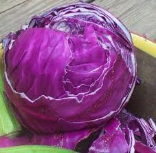Seed Kingdom Red Acre Cabbage