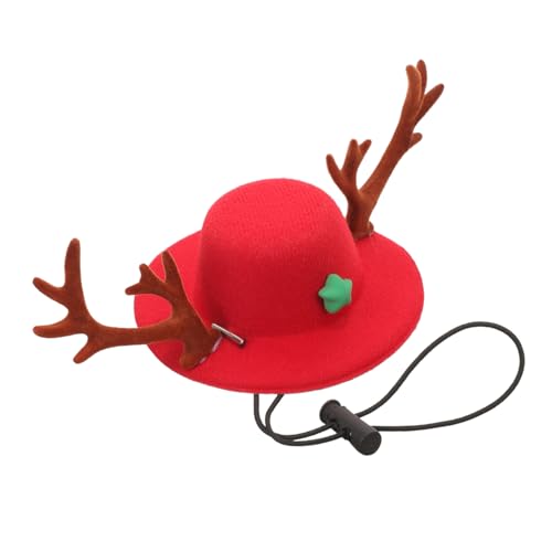 Kisangel NX}XybgXq giJC̊ptLpwbhEFA p[eB[RX`[ ʐ^Be₨ՂɓKLbv