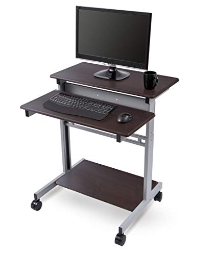 32" Mobile Ergonomic Stand up Desk Computer Workstation