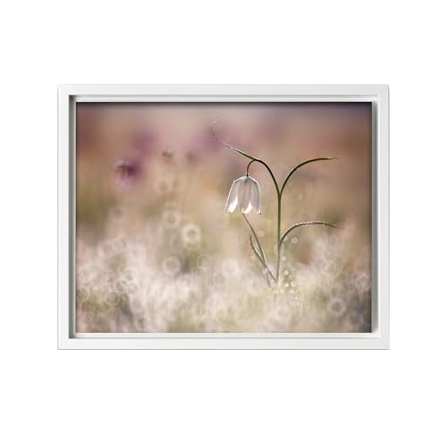Monem Art Snake's Head Fritillary Print - Albino Poster - White Flower Art - Nature Photography Wall Decor - Floral Living Room or Bedroom Decor - 8x10 White Framed CANVAS Wall Art by Anton Van Dongen