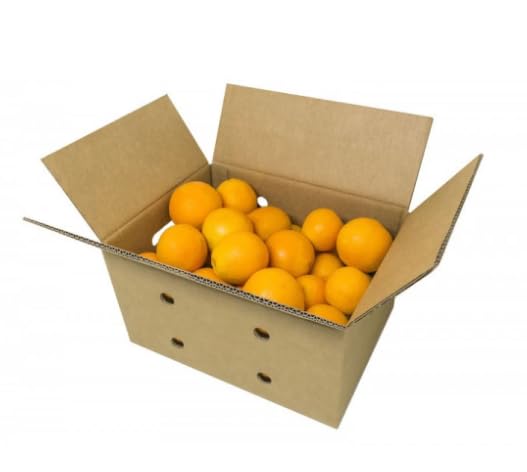 Naranjas Valencianas para Zumo – Caja 5 kg – Recién Cosechadas – Directas del Agricultor